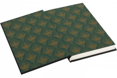 Folio Society: The Turn of the Screw Endpapers