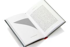 Royal Academy:  Tess Jaray - The Blue Cupboard Open